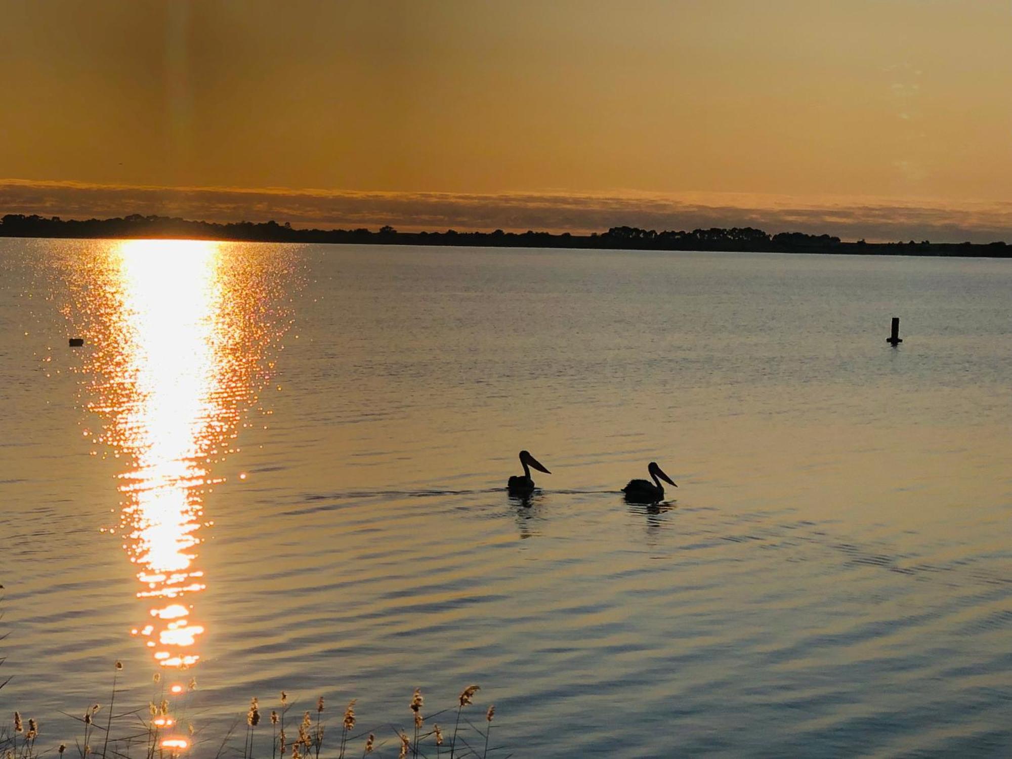 Lake Boga Caravan Park Zewnętrze zdjęcie