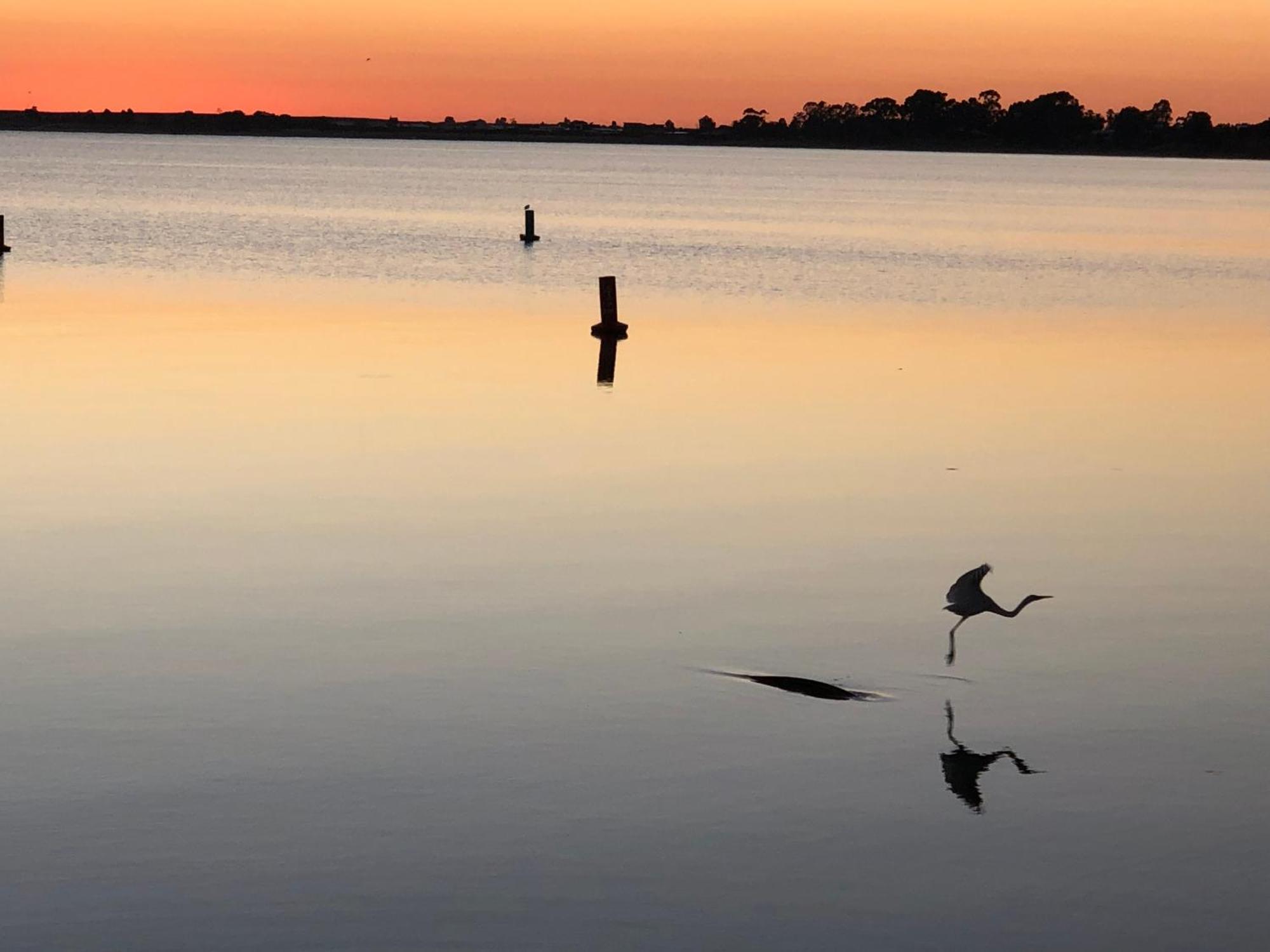 Lake Boga Caravan Park Zewnętrze zdjęcie